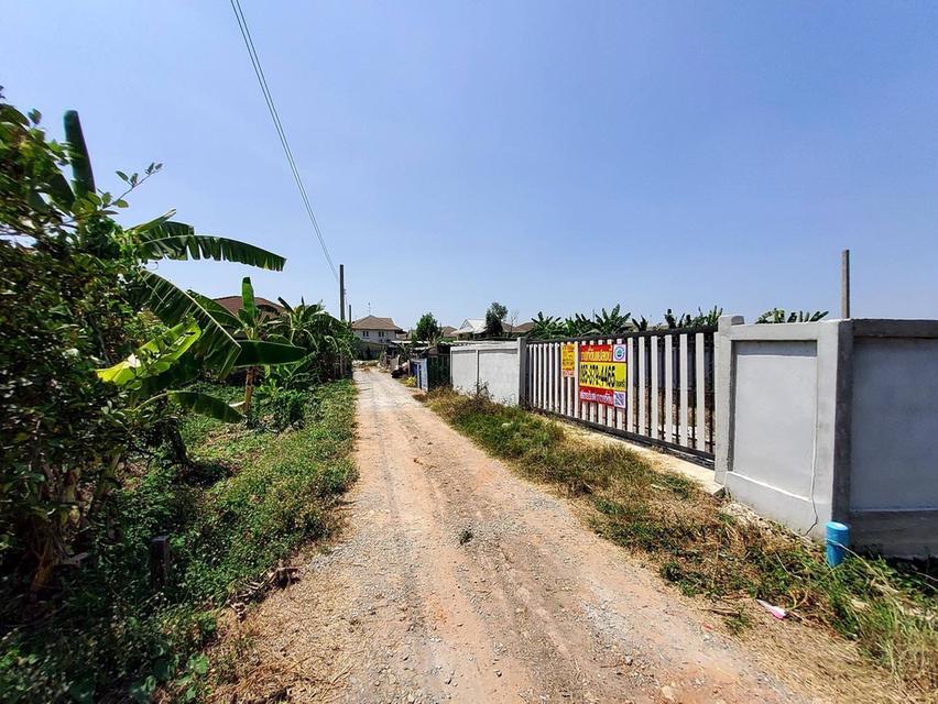 ขายด่วนที่ดินคลองโต๊ะใหม่ 100 ตรว ล้อมรั้วและทำกำแพงไว้แล้ว อ.บางบัวทอง จ.นนทบุรี 2
