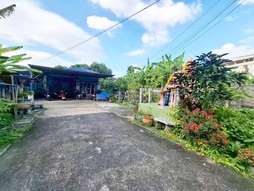 ขายบ้านชั้นเดียว 2 หลังคู่ พร้อมที่ดิน ซอยคชสาร4 หลังมหาลัยธรรมศาสตร์ 4