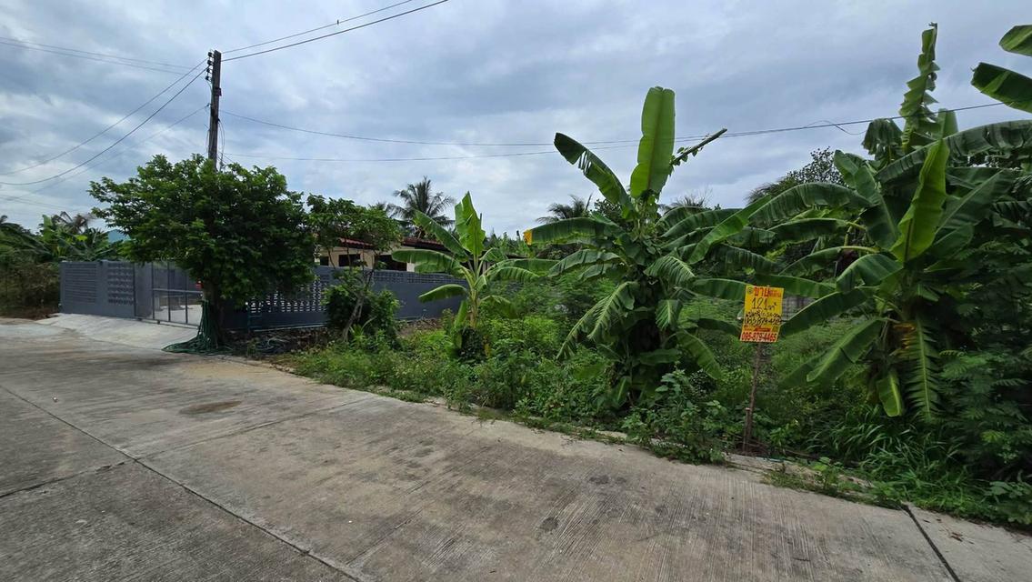 ขายด่วนที่ดินใกล้เซ็นทรัลศาลายา 121 ตรว ติดถนนสาธารณะ หมู่บ้านกวินทิพย์ สามพราน นครปฐม 2