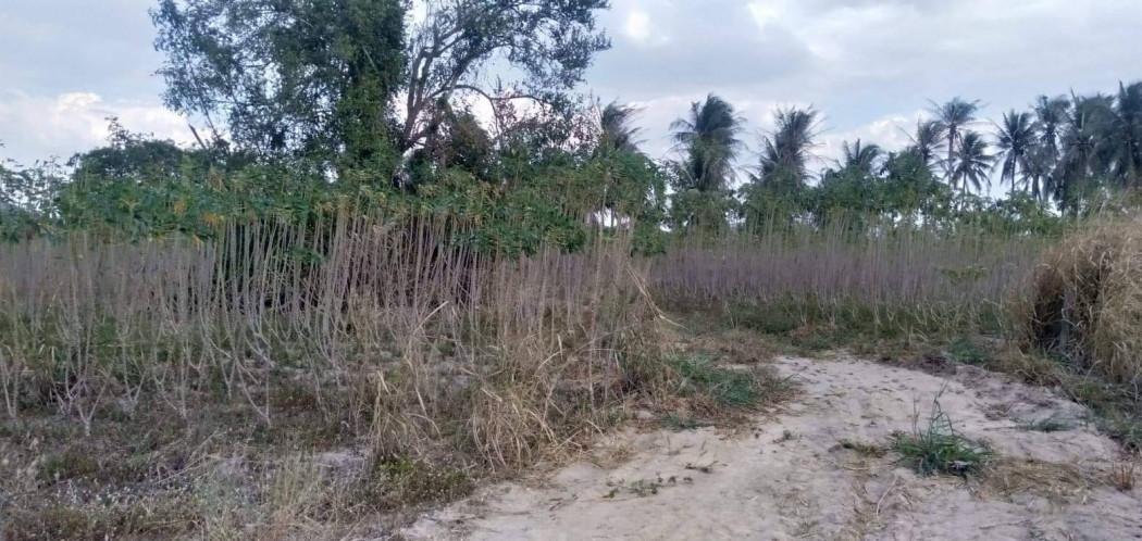 ขาย ที่ดิน 28-0-17 ไร่ ติดนิคมWHA ศรีราชา ชลบุรี เหมาะสำหรับสร้างโรงงานอุตสาหกรรม 4