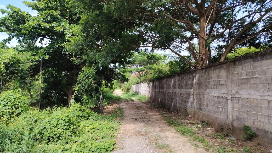 ขายที่ดิน โฉนดครุฑแดง ทำเลทองนครสวรรค์ 10