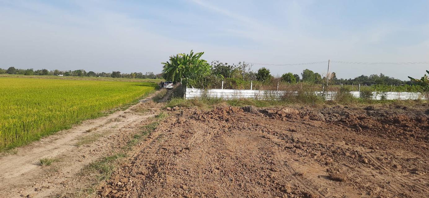 ขายที่ดินแปลงเล็กถมเเล้ว ผ่อนได้ ต. หนองผักนาก อ.สามชุก จ.สุพรรณบุรี 7