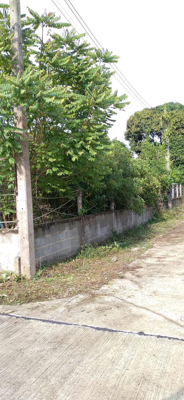 ที่ดินเปล่า 200 ตร.ว. 5