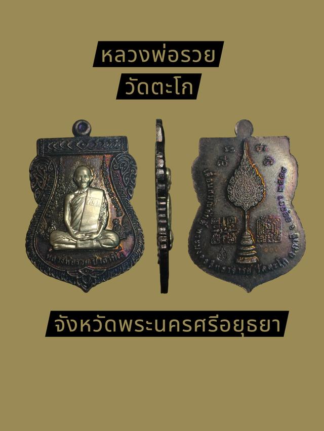 หลวงพ่อรวยวัดตะโกจังหวัดพระนครศรีอยุธยา