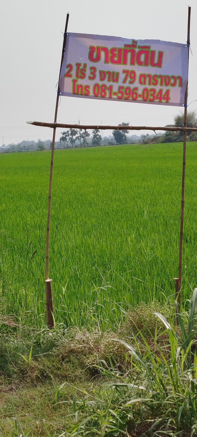 ที่ดิน อ.สวรรคโลก 8
