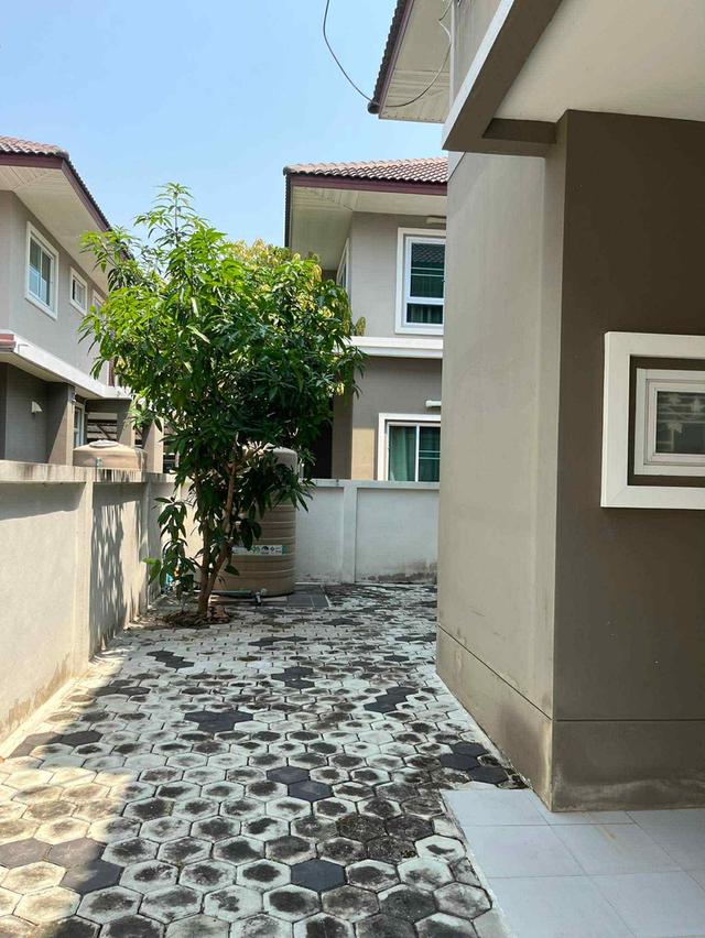 🏠 บ้านเดี่ยวพื้นที่เยอะ 56.2 ตรว. 3.3 ล้านบาท ฟรีโอน! ฟังก์ชันครบพร้อมอยู่ นัดชมได้ครับ/ค่ะ 🔑 14