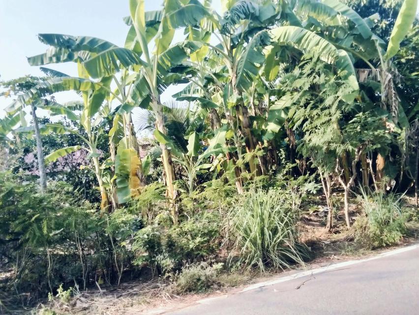 ที่ดินพร้อมสิ่งปลูกสร้าง 10