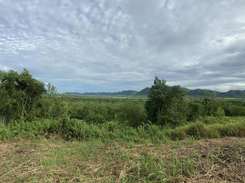 ขายที่ดินเพชรบุรี ทำเลงาม 3