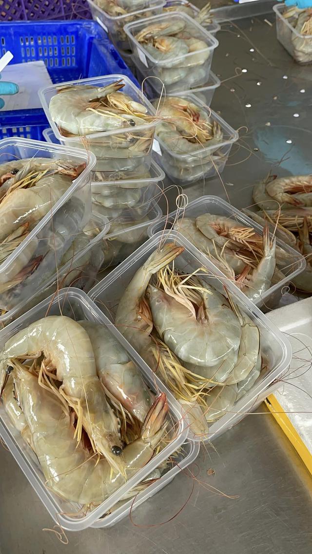 กุ้งแชบ๊วยพร้อมส่งทั่วประเทศจ้า 2