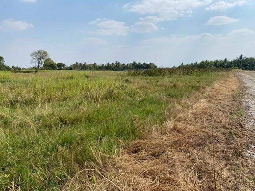 ที่ดิน 1-3-59.0 ไร่ ต.ขามทะเลสอ อ.ขามทะเลสอ จ.นครราชสีมา 9