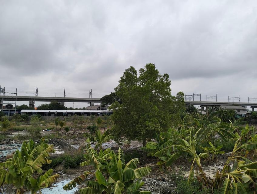 ขายที่ดิน9ไร่  ติดรถไฟฟ้าสายสีแดง ต.ประชาธิปัตย์ อ.ประชาธิปัตย์ จ.ปทุมธานี  11