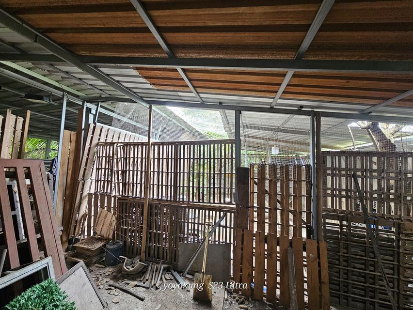 ขายที่ดิน 3-0-80 ไร่ พร้อมสิ่งปลูกสร้าง ติดถนนเลียบคลองขุนศรี ต.ไทรน้อย อ.ไทรน้อย จ.นนทบุรี 16