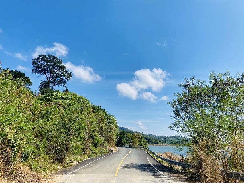 ที่ดินติดธรรมชาติที่ใครๆต้องรีบจัด 17