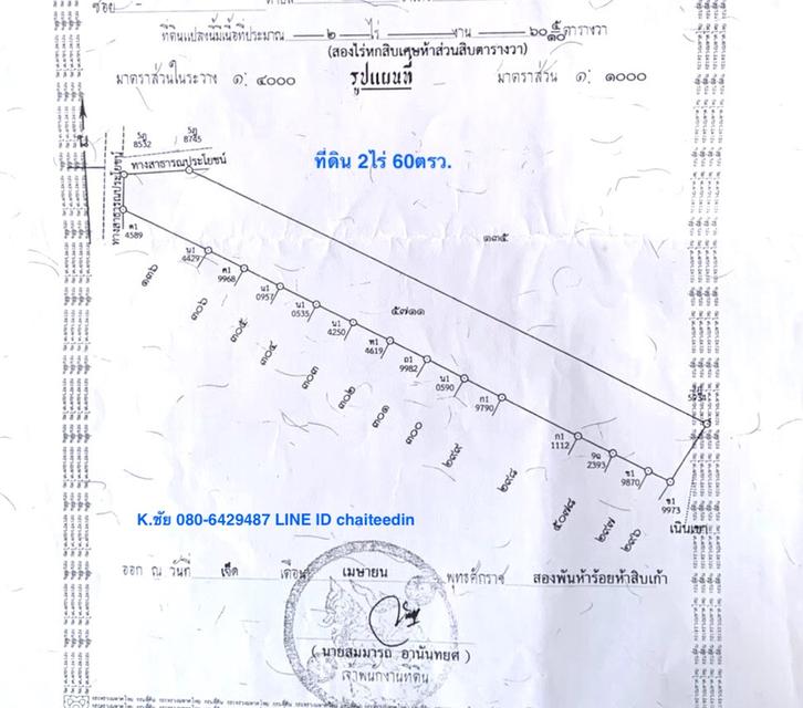 ขายที่ดินเหมาะพัฒนาอสังหาริมทรัพย์ หรือสร้างโกดัง,คลังสินค้าขนาดเล็ก ที่ดินเนื้อที่ 2ไร่ 60ตรว.ติดทางสาธารณะด้านหน้า 10-20เมตร ลึก 170เมตร ใกล้สวนเสือ 7