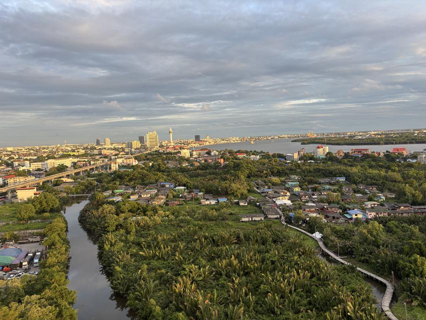 คอนโด เดอะ ทรัสต์ เอราวัณ 1bed 29 ตรม ชั้น 20 ห้องมุม วิวแม่น้ำ ป่าจาก 2.4M 5