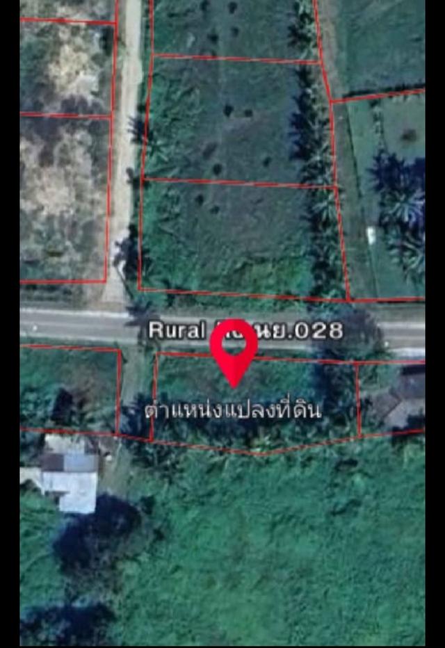 ที่ดินนครนายกแปลงสวย ภูเขาล้อมอากาศบริสุทธิ์ 3