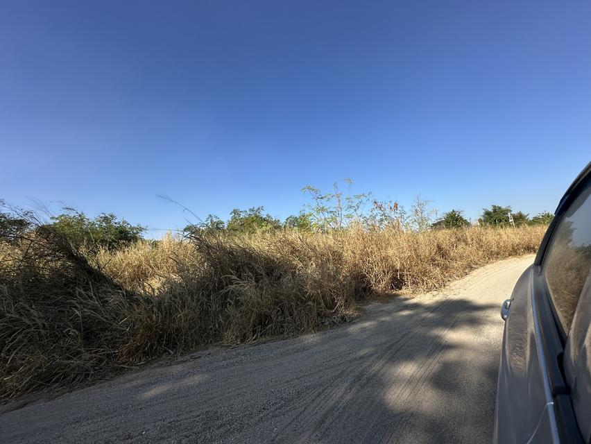 ขายที่ดินเปล่า รูปแปลงสวย เนื้อที่ 1-0-32 ไร่ ถ.ดอนนุ่น 3 ต.บึง อ.ศรีราชา จ.ชลบุรี 7