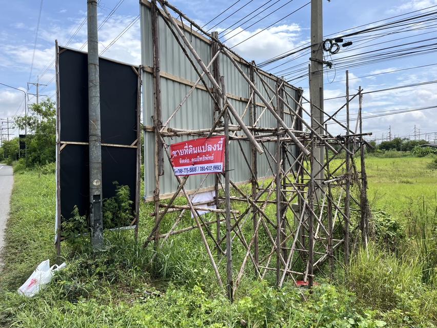 ขายไร่ละ 10 ล้าน ที่ดิน 8 ไร่ ติดถนนสายเอเชีย หน้านิคมไฮเทค บางปะอิน 12
