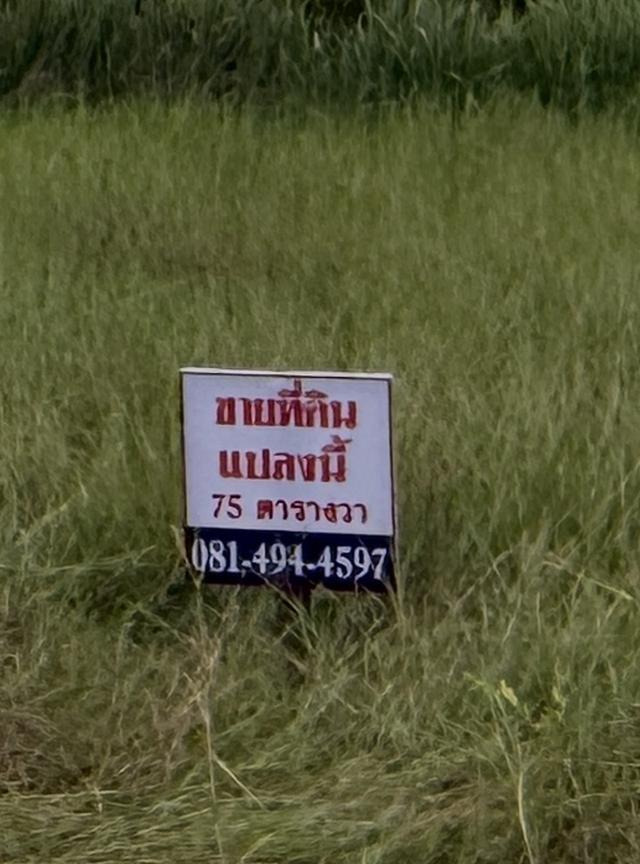ที่ดินเปล่า ปลอดภาระ โฉนด นส4. 5