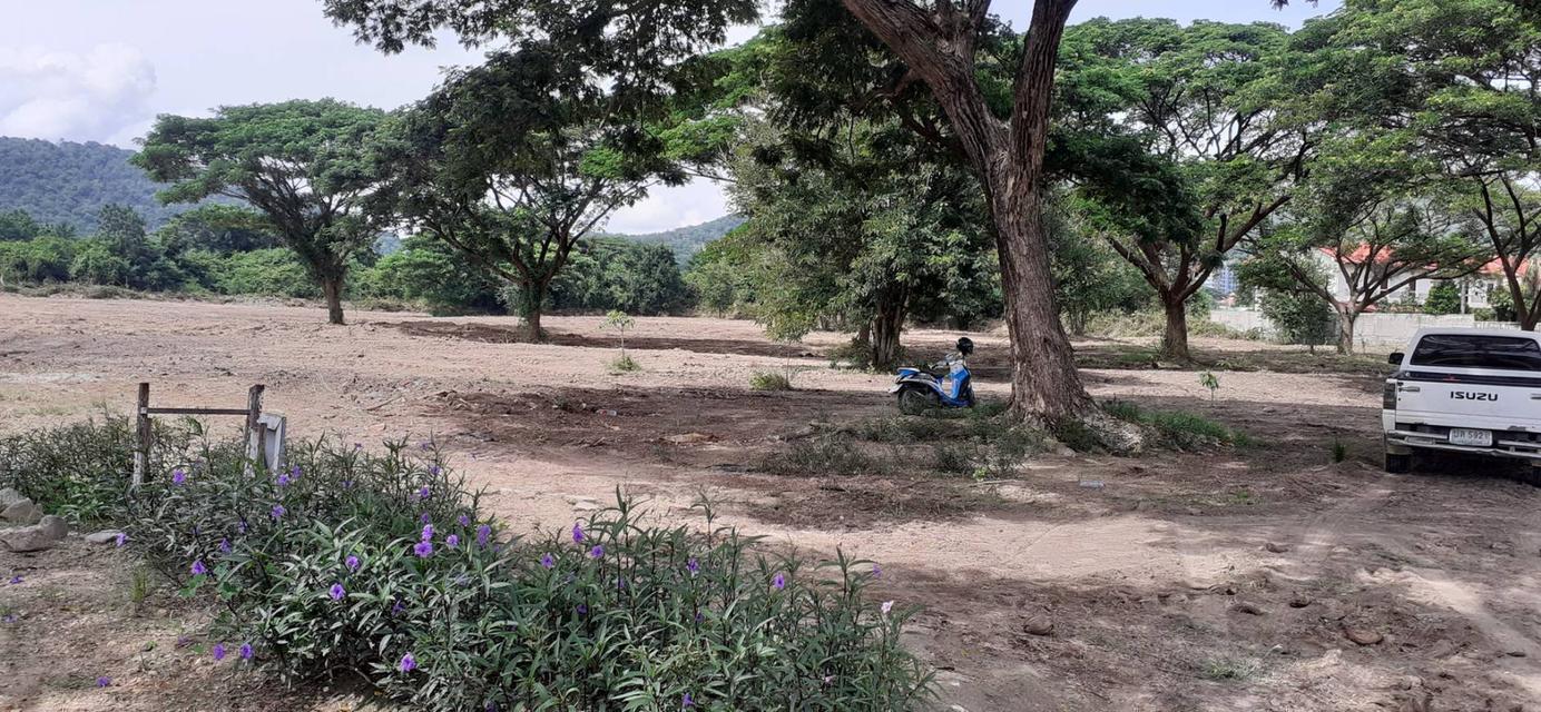 ขายที่ดินอำเภอหัวหิน 12 ไร่ 6