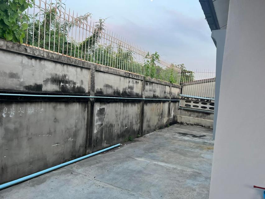 บ้านเดี่ยว พื้นที่1งาน 3