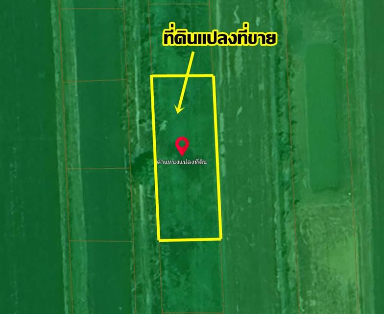 ขายที่ดินองครักษ์ นครนายก คลอง22 ใกล้วัดราษฎร์ศรัทธาราม 5