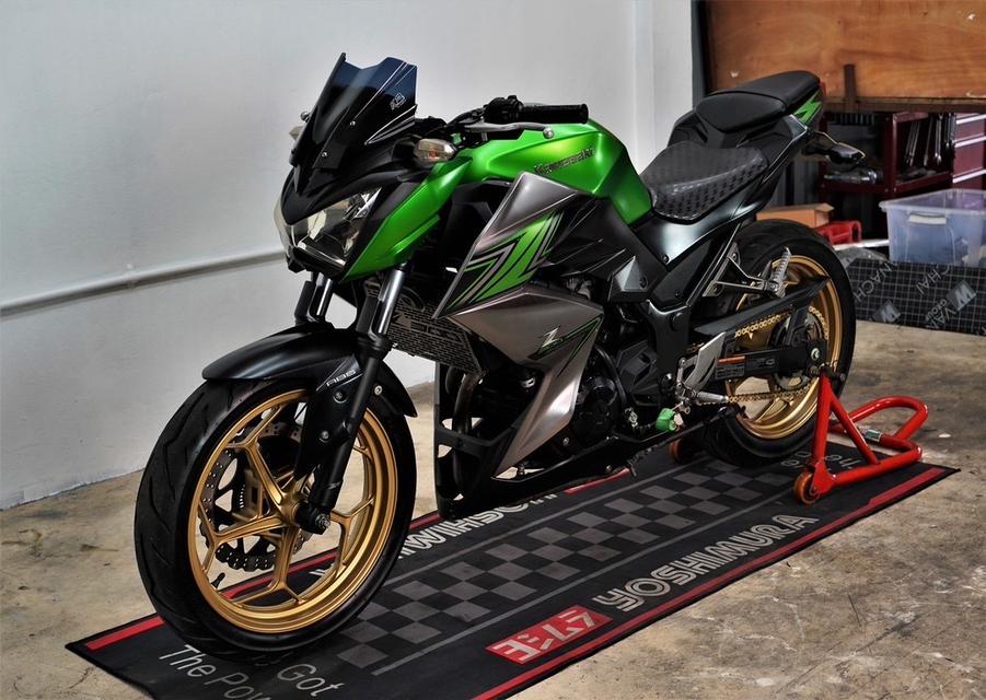 Z300 7