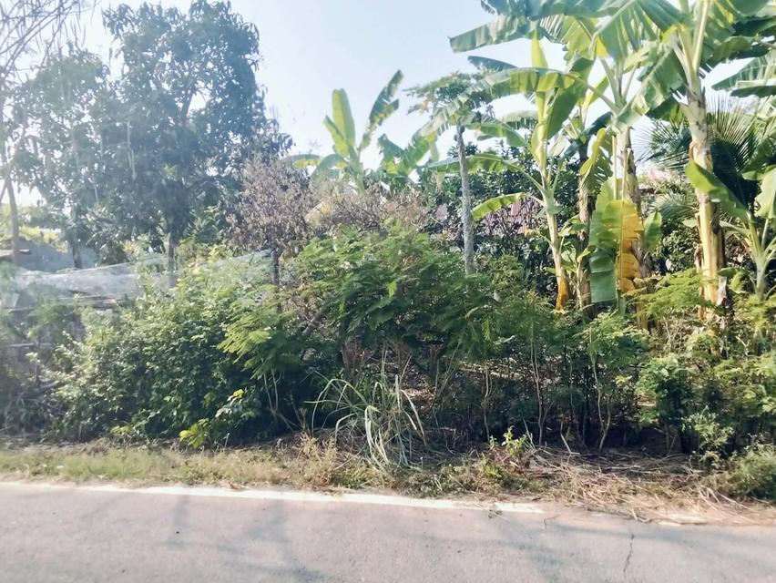 ที่ดินพร้อมสิ่งปลูกสร้าง 9