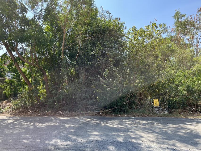 ขายที่ดินถมแล้ว 186 ตรว. ในหมู่บ้านศศิกานต์แลนด์ ซ.พิชัยณรงค์สงคราม37 อ.เมืองสระบุรี สระบุรี ใกล้แหล่งชุมชน เหมาะสร้างหอพัก สำนักงาน บ้านพัก อื่นๆ 1