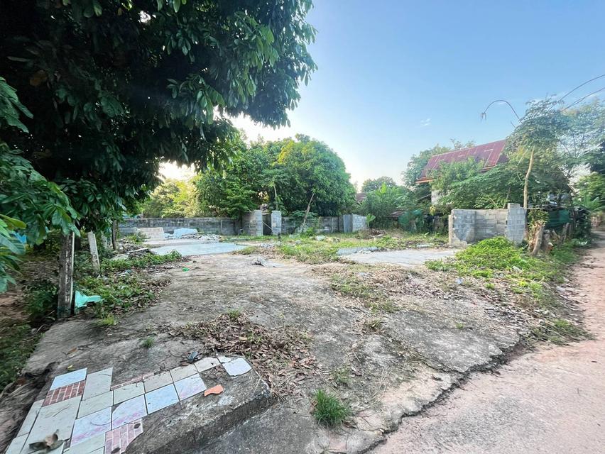 ที่ดินเปล่า 88 ตร.ว. 2