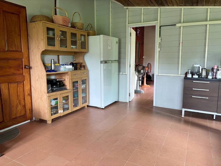 ขายบ้านสวน ทำเลดี 3 ไร่ 1 งาน จังหวัดอุดรธานี 5