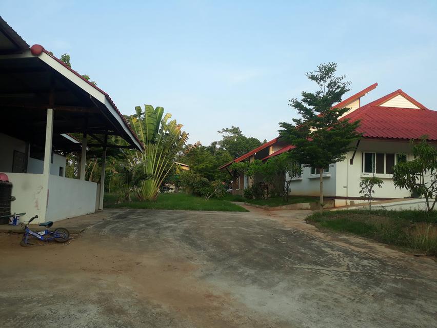 ขายบ้านเดี่ยวตำบลหนองระเวียงอำเภอเมืองนครราชสีมา บ้านเดี่ยวหลังใหญ่ 5 นอน3น้ำ #บ้านหลังเล็กอีก 2 หลัง