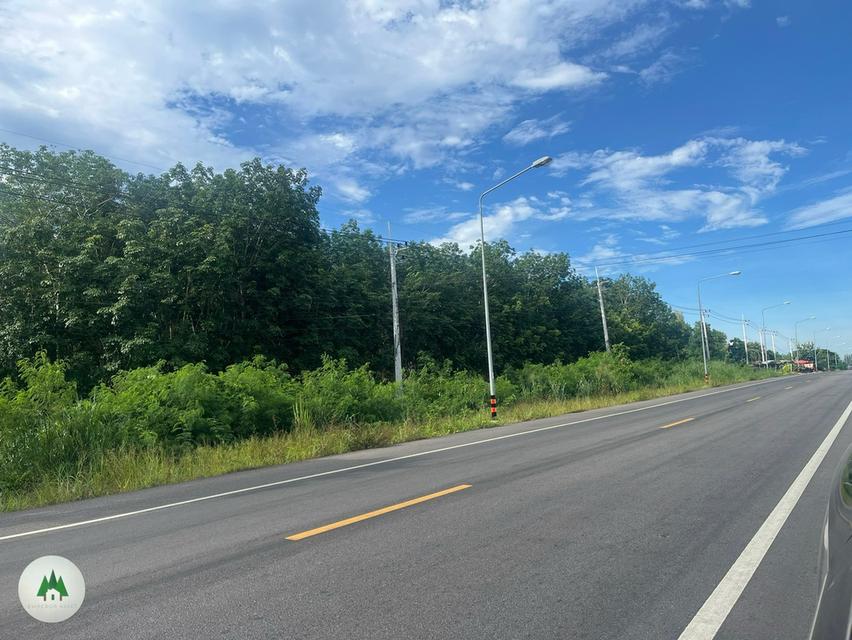 📣ขายที่ดิน ติดถนนใหญ่สายหลัก ด้านหลังติดแม่น้ำภาชี พร้อมสวนยาง อายุ 10 ปี เนื้อที่ 10 ไร่ 2