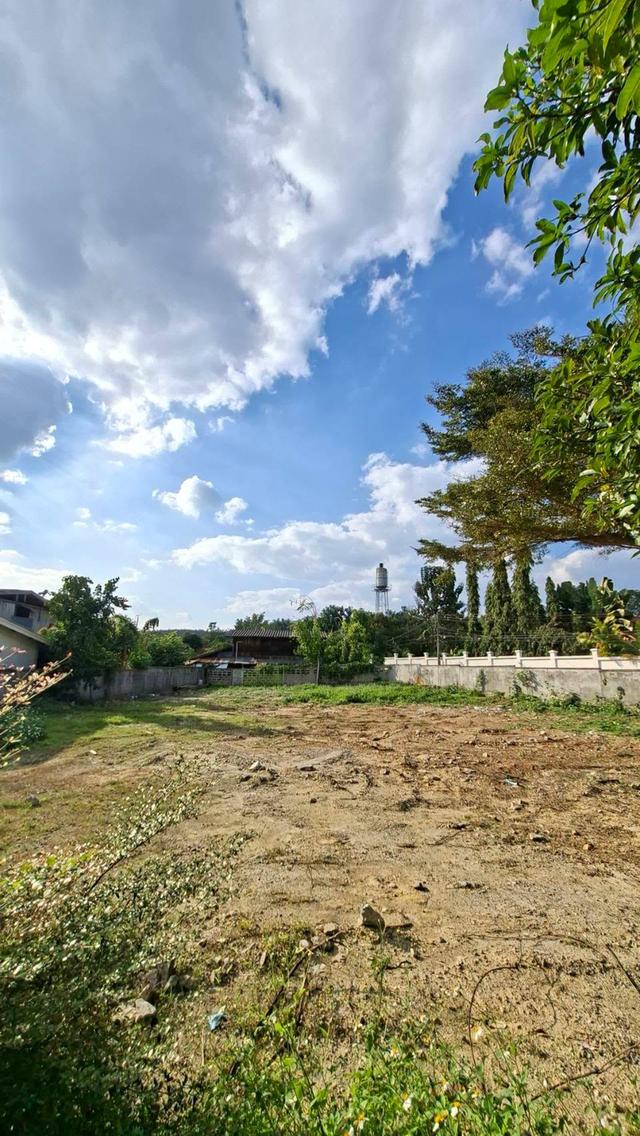 ที่ดินทำเลดี ต.น้ำแพร่ อ.หางดง จ.เชียงใหม่ 7