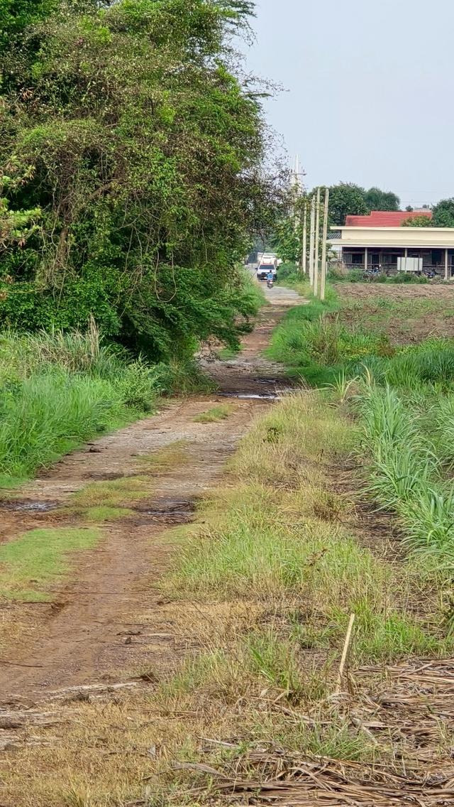 ที่ดิน หนองอีรุณ บ้านบึง ชลบุรี 4
