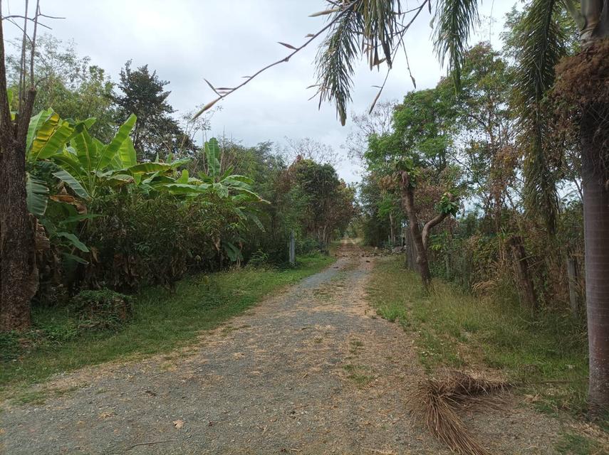 ขายบ้านพร้อมที่ดิน ต.ป่าป้อง อ.ดอยสะเก็ด จ.เชียงใหม่ 2