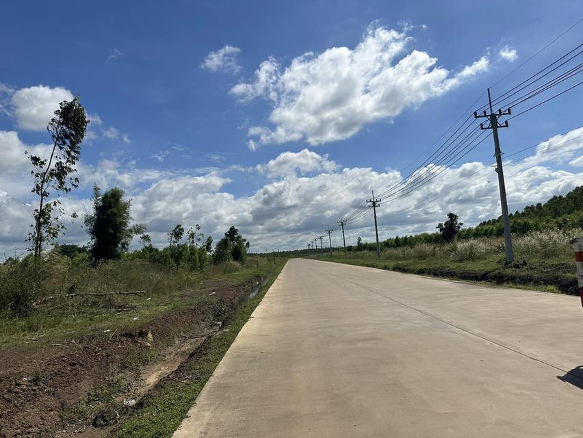 ขายที่ดินหัวหว้าหลังนิคม304เฟส3 เนื้อที่ 52 ไร่ ติดถนนคอนกรีต ใกล้ถนนเส้น3078 - 2.5 กม. อ.ศรีมหาโพธิ ปราจีนบุรี