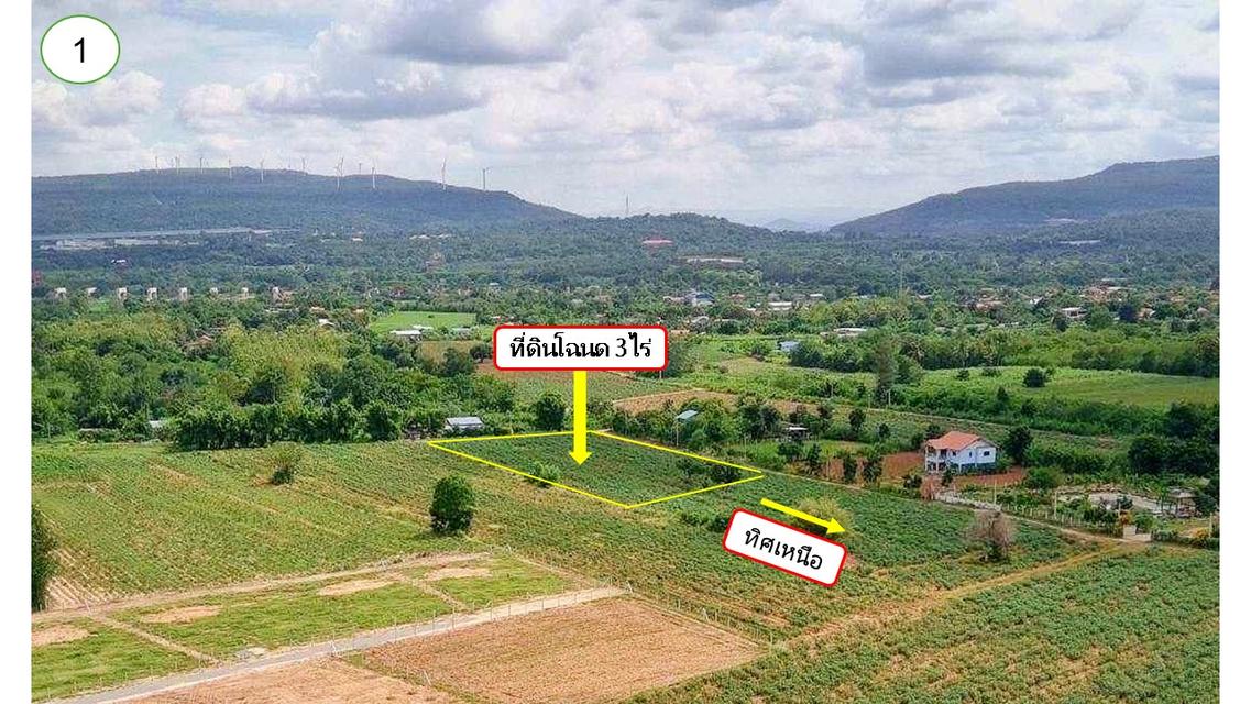 ขายที่ดินโฉนดครุฑแดง 2