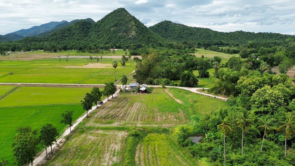 🏞️ ที่ดินบนเขื่อนวังร่มเกล้า 1 ไร่ 320,000 บาท วิวภูเขา เหลือเพียง 6 แปลงสุดท้าย 6