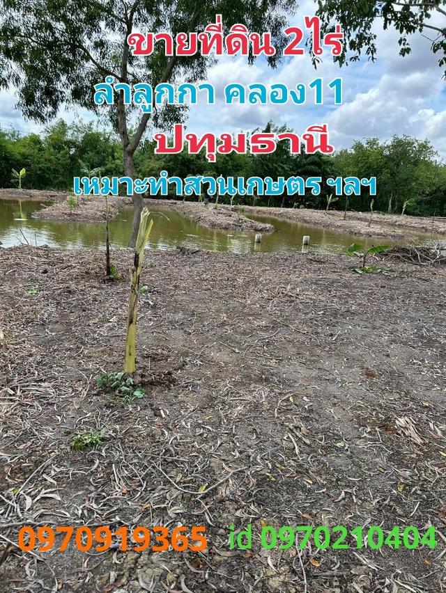 ขาย ที่ดิน ลำลูกกา 2 ไร่ เหมาะทำสวนเกษตร คลอง11ปทุมธานี 1