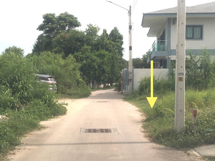 ขายที่ดิน 80ตร.วใกล้นิคมอมตะซิตี้ชลบุรี ห่างจากถนนบายพาสเลี่ยงเมืองชลบุรี 500เมตร หน้ากว้าง 18เมตร ลึก 18เมตร ถมแล้ว ตำบลนาป่า เมืองชลบุรี 2