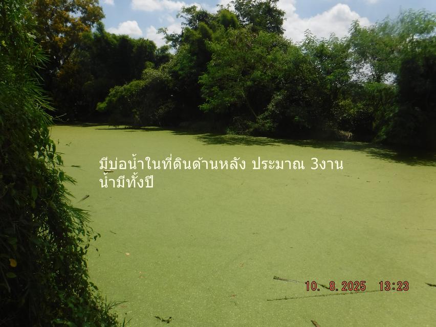 ขายที่ดินพร้อมสิ่งปลุกสร้าง 12 ไร่ ต.ห้วยแห้ง อ.แก่งคอย ไร่ละ 7 แสน 16