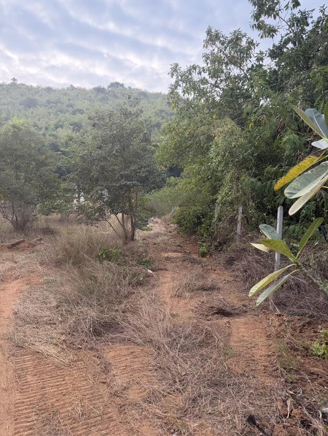 ที่ดินประจวบคีรีขันธ์ (วิวภูเขา) 7