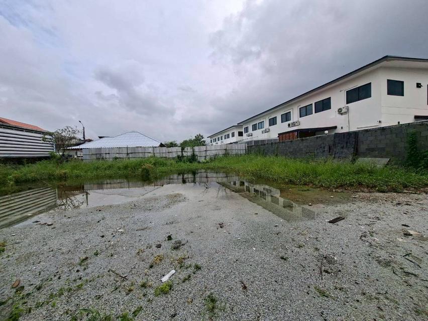 ขายด่วนที่ดินถมแล้วแปลงสวย 165 ตร.ว. ซ.เฉลิมพระเกียรติ ร.9 ซอย14 แยก23 แขวงหนองบอน เขตประเวศ ( N.1475 ) 4