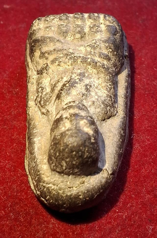 หลวงปู่ทวด เนื้อว่าน พิมพ์พระรอด ปี2497 รูปที่ 5