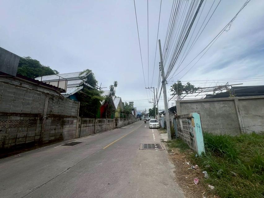 ขายด่วนที่ดินพัทยา บางละมุง ชลบุรี 1