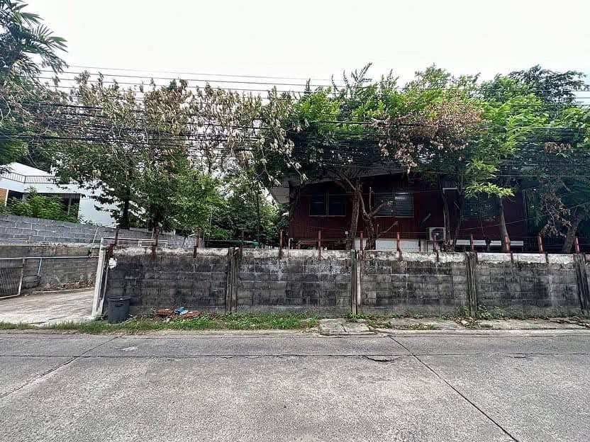 ขายที่ดินเอกมัย22 สุขุมวิท63 172ตร.ว จากถนนเอกมัย 400ม. เข้าออกได้สุขุมวิท71 ปรีดีพนมยงค์ ใกล้ BTSเอกมัย ทองหล่อ Ekkamai Thonglor land sale 0879074045 1