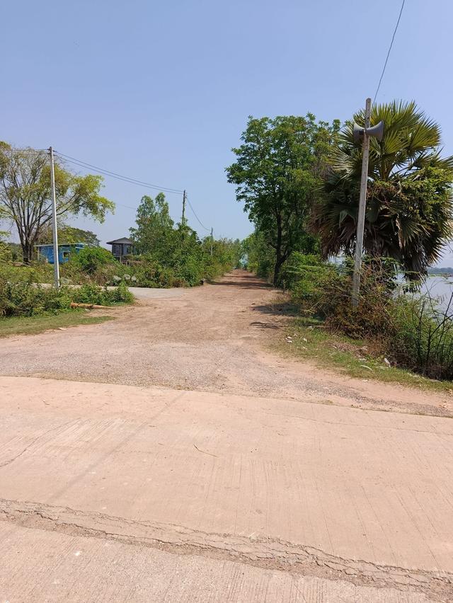 ที่ดิน 12 ไร่ อ.เมือง พิษณุโลก 5