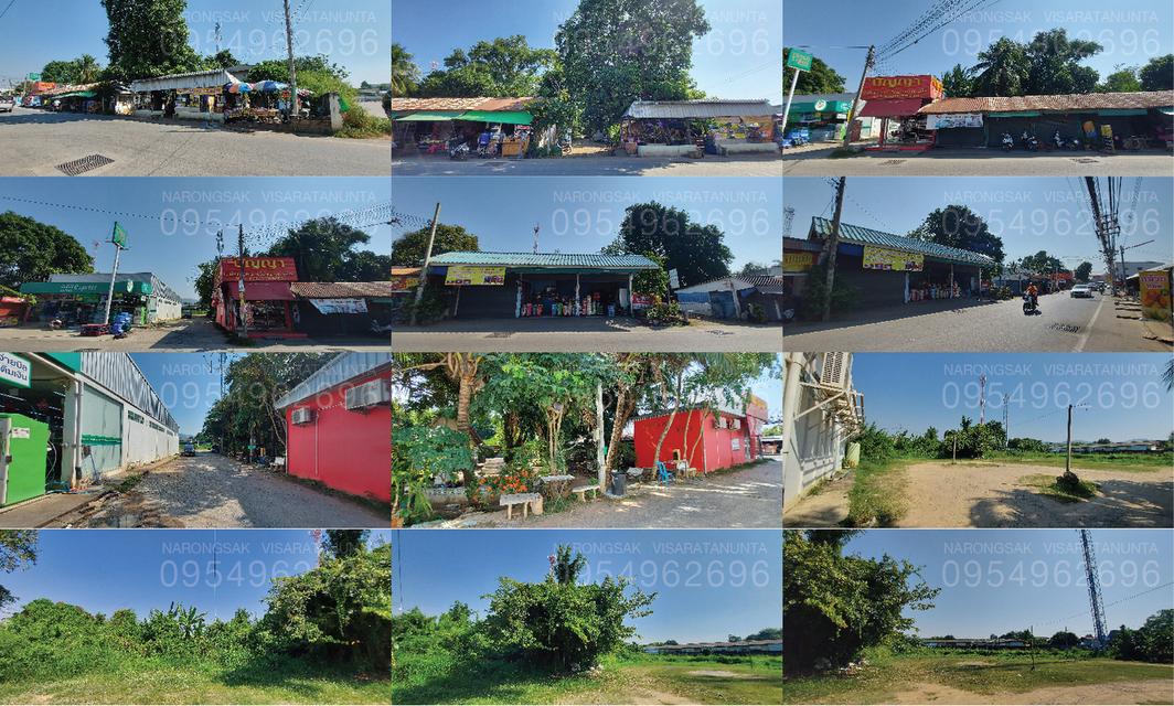 ขายที่ดิน อ.สัตหีบ จ.ชลบุรี 3