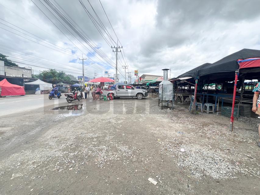 ขาย ที่ดิน บ้านบึง หนอง บอน แดง ชลบุรี(พร้อมสิ่งปลูกสร้าง) รูปที่ 15